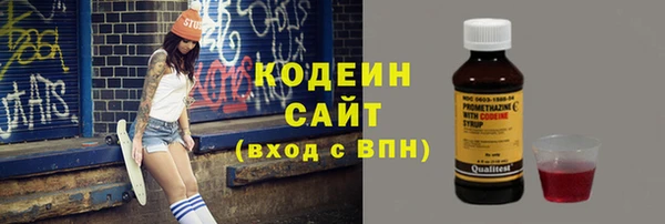 стаф Дмитриев