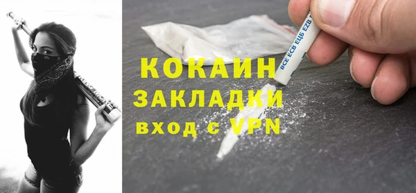 стаф Дмитриев