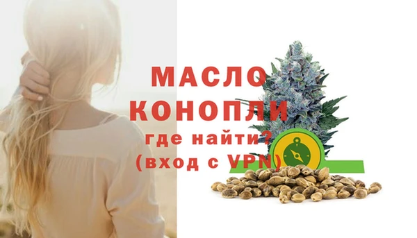 стаф Дмитриев