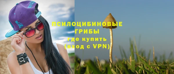 ECSTASY Дмитровск