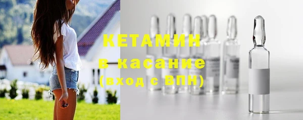 стаф Дмитриев