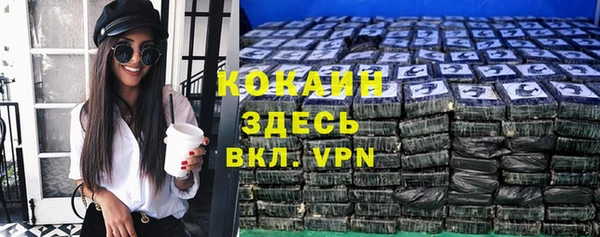 стаф Дмитриев