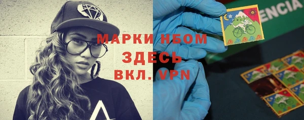 стаф Дмитриев