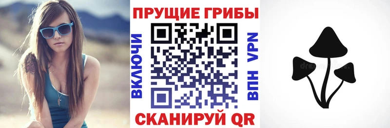Псилоцибиновые грибы GOLDEN TEACHER  Купить закладки  Усинск 